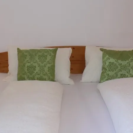 Apartment Haus Tannenblick - Joker Card Included In Summer Saalbach-Hinterglemm