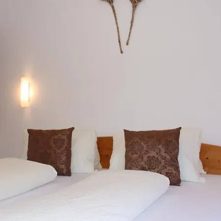 Apartment Haus Tannenblick - Joker Card Included In Summer Saalbach-Hinterglemm