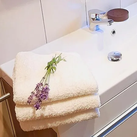 Apartment Haus Tannenblick - Joker Card Included In Summer Saalbach-Hinterglemm