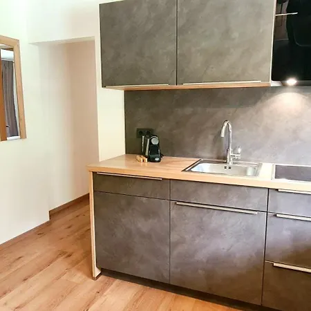 Apartment Haus Tannenblick - Joker Card Included In Summer Saalbach-Hinterglemm