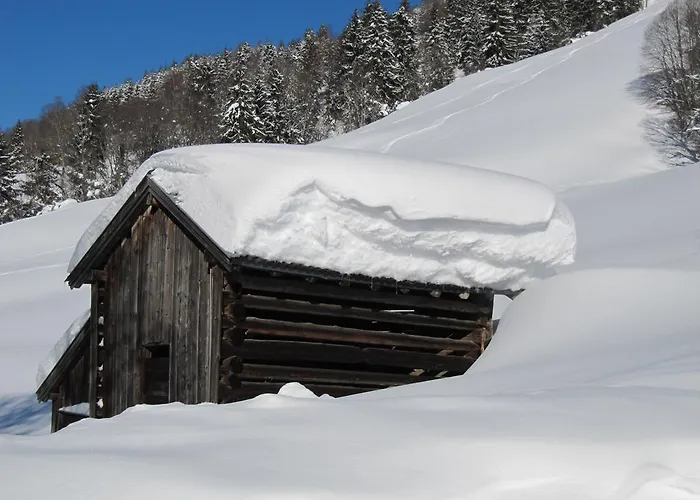 Haus Tannenblick - Joker Card Included In Summer Saalbach-Hinterglemm